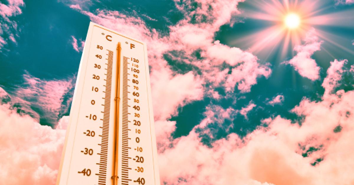 What landlords should look out for in summer heatwaves