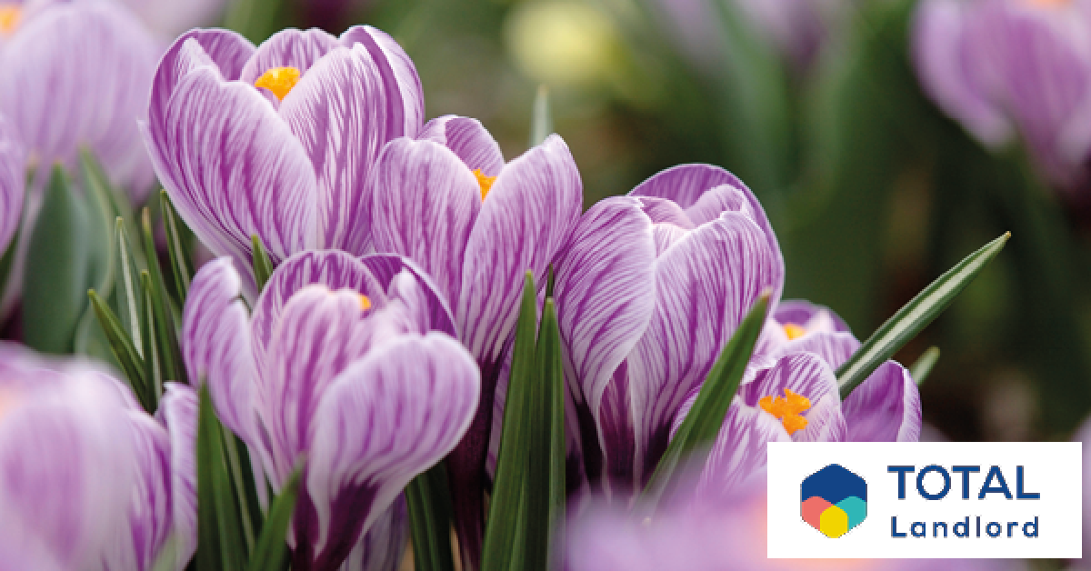 The complete guide to spring property maintenance for landlords