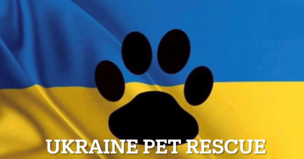 Landlords' mission to save pets in Ukraine