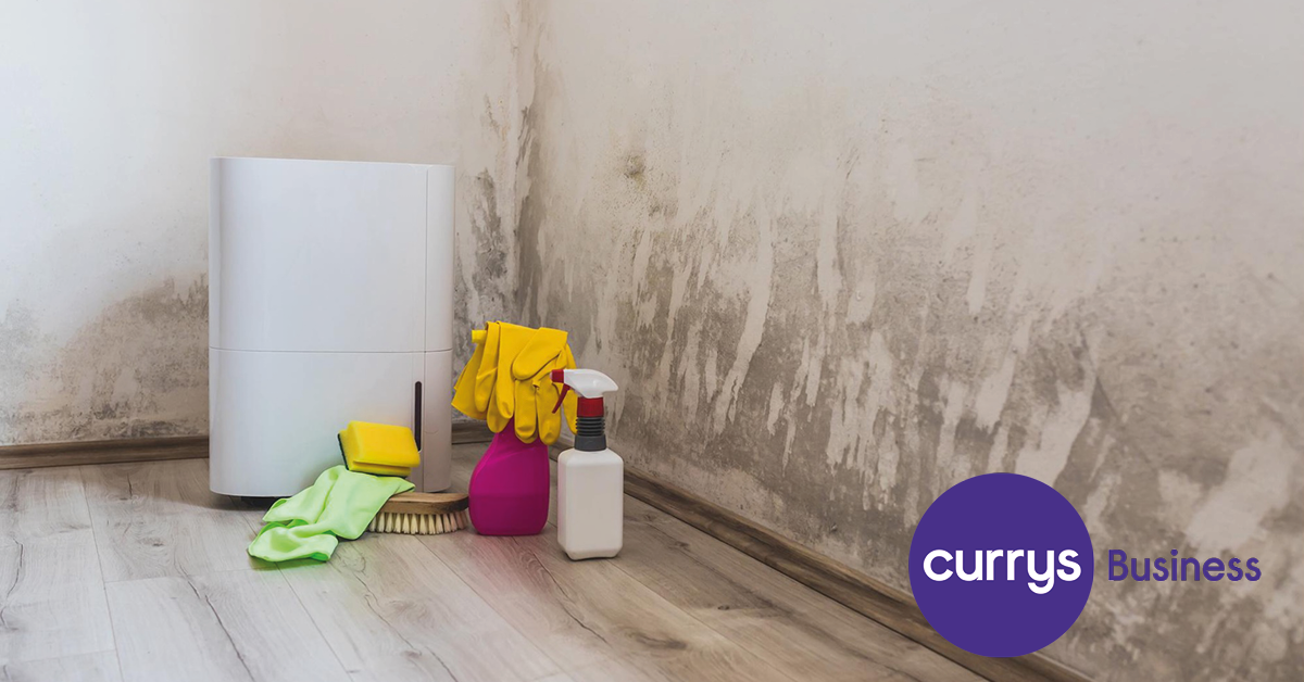 Does a dehumidifier kill mould?