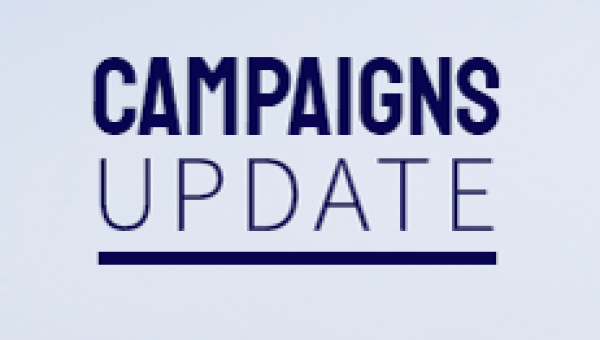 Your campaigns update for November
