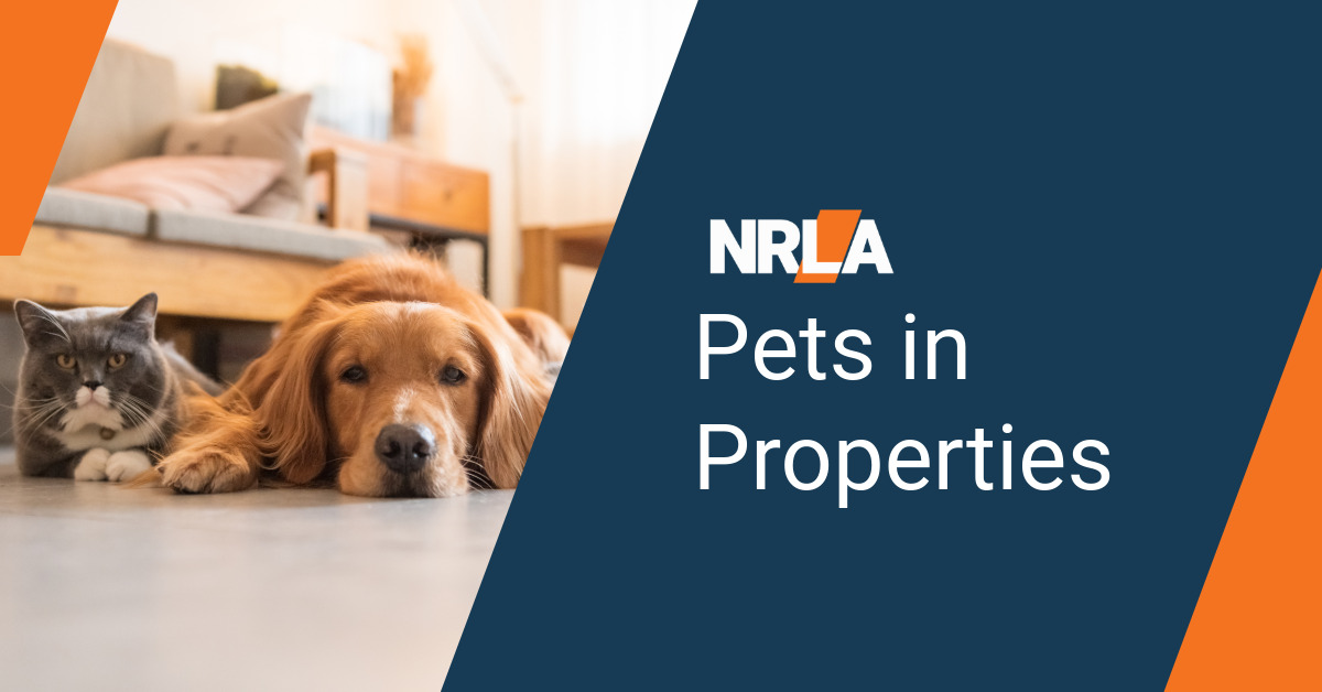 New rules on pets – is your property a suitable home?