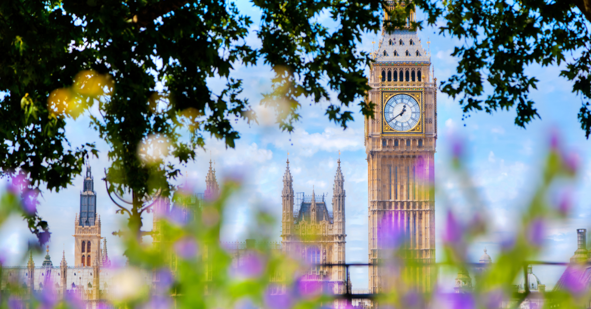 Serious landlords won't shut the door on the government's latest rental reforms