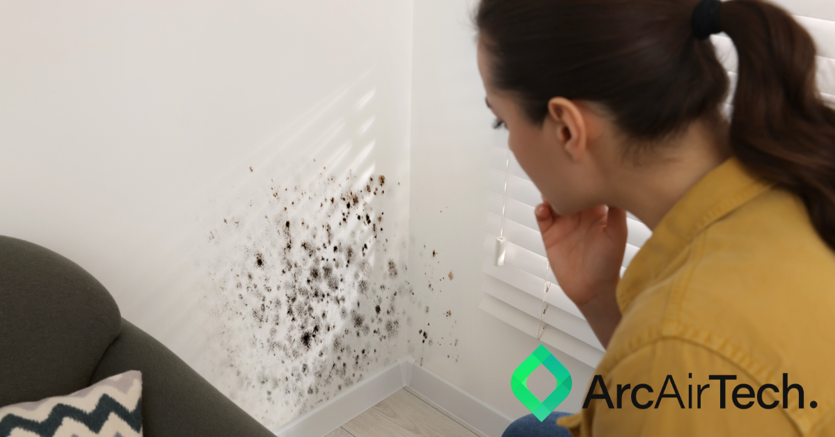 Debunking the biggest myths about damp, mould and ventilation