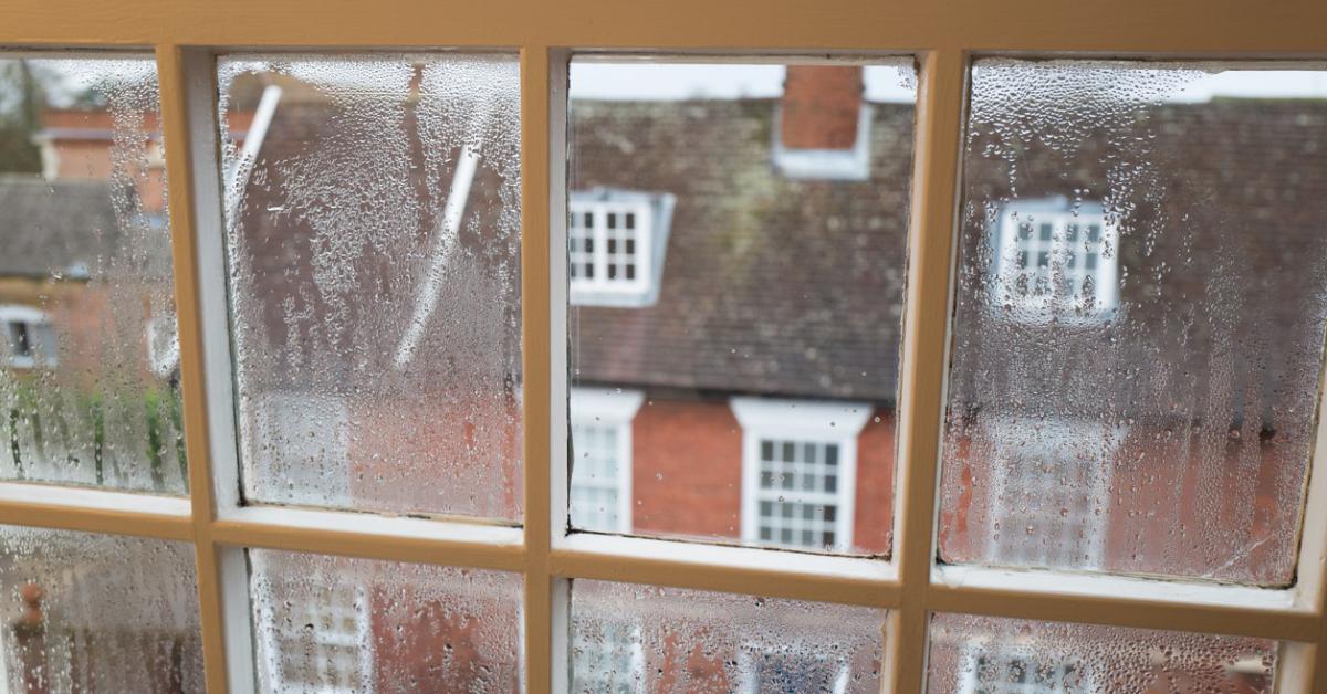 Damp, condensation and mould in properties - what landlords need to know