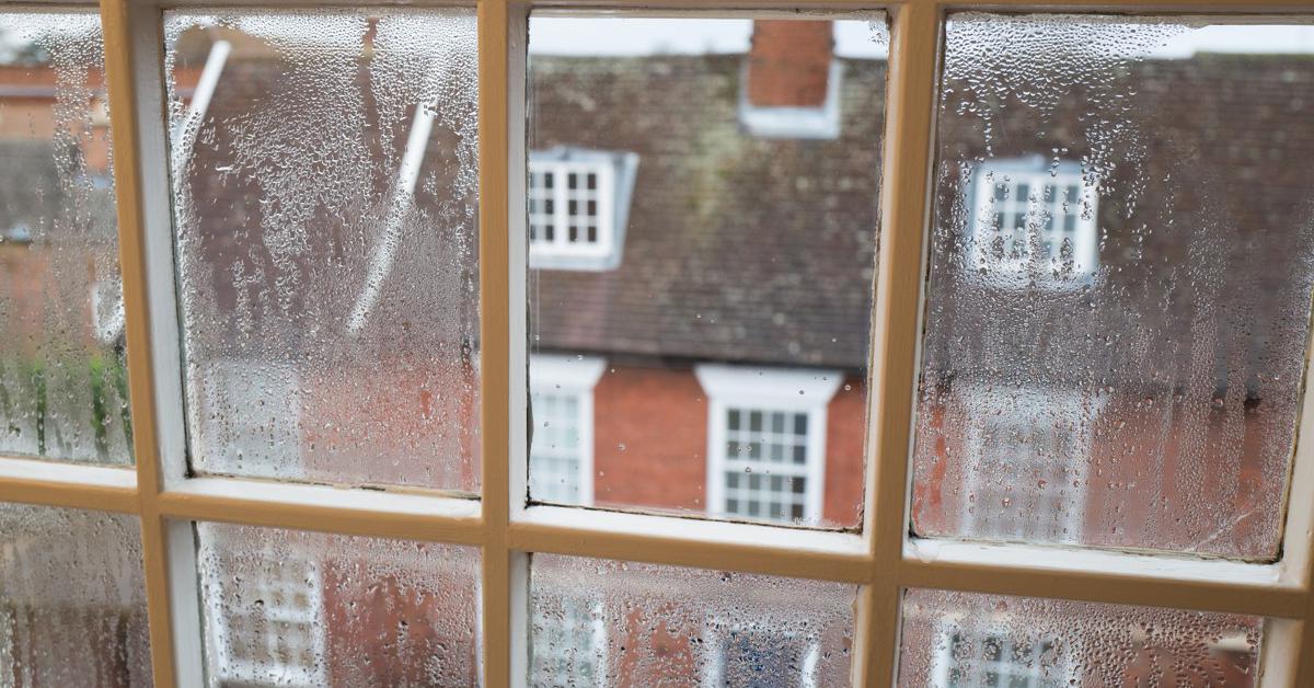 'Tis the season: TDS's guide to tackling condensation, damp, and mould
