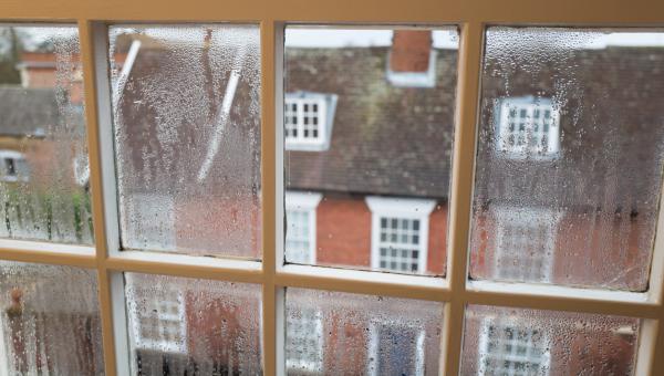 Damp and Condensation: What you need to know