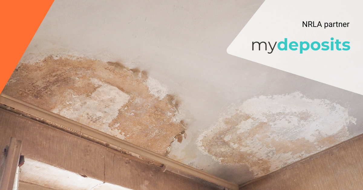 Ten tips for compliance with the Decent Homes Standard and Awaab's Law