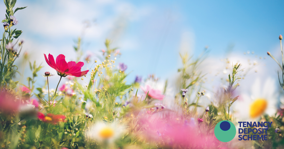Avoiding garden maintenance disputes in rental properties