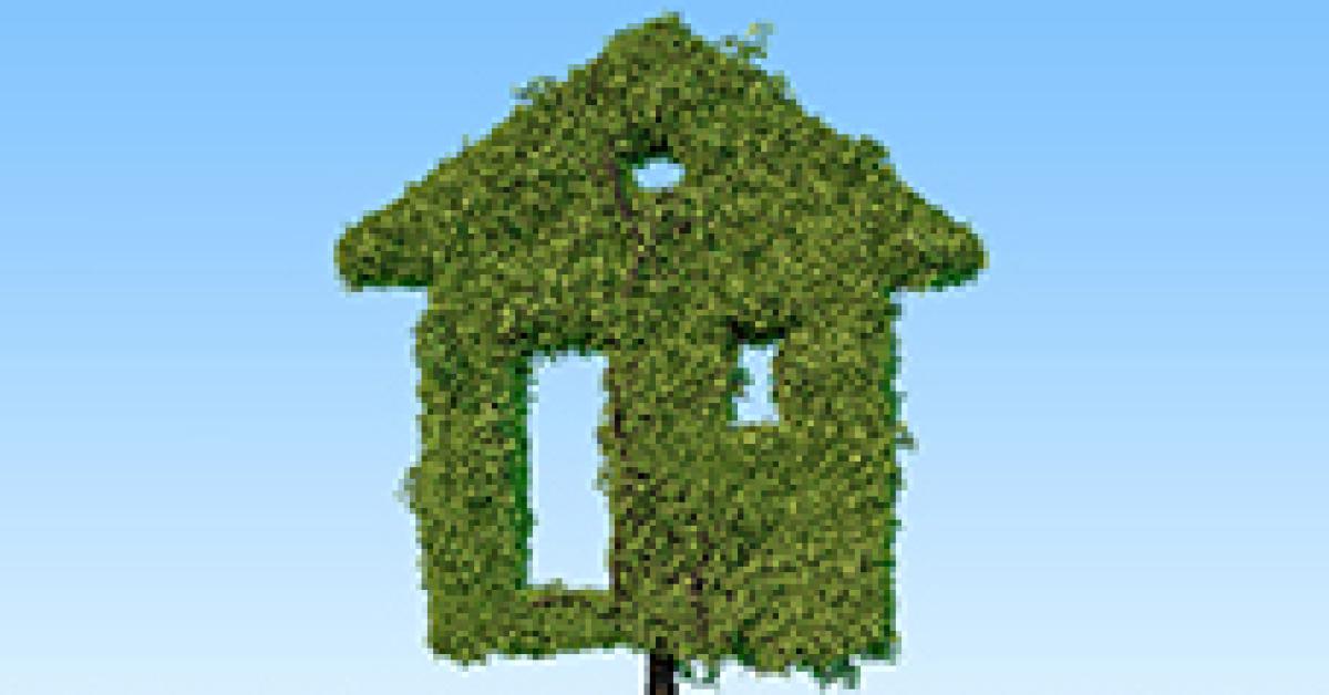 Energy efficiency consultation launches and green homes grants introduced