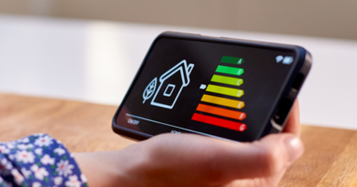 Energy efficiency: NRLA addresses minister at high-level roundtable