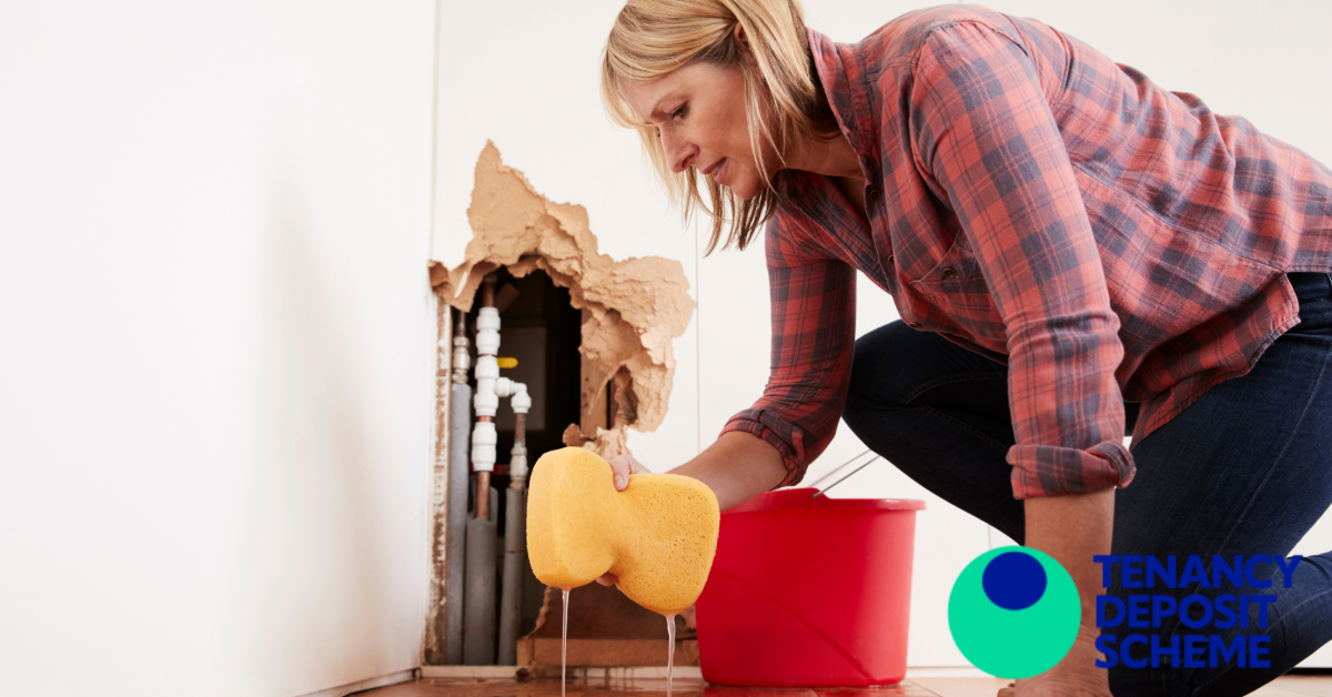Avoiding winter woes! How seasonal maintenance can save you from a deposit dispute