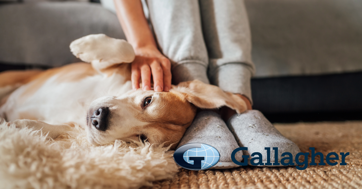 Considering a tenant’s pet request? Five insurance checks landlords should make