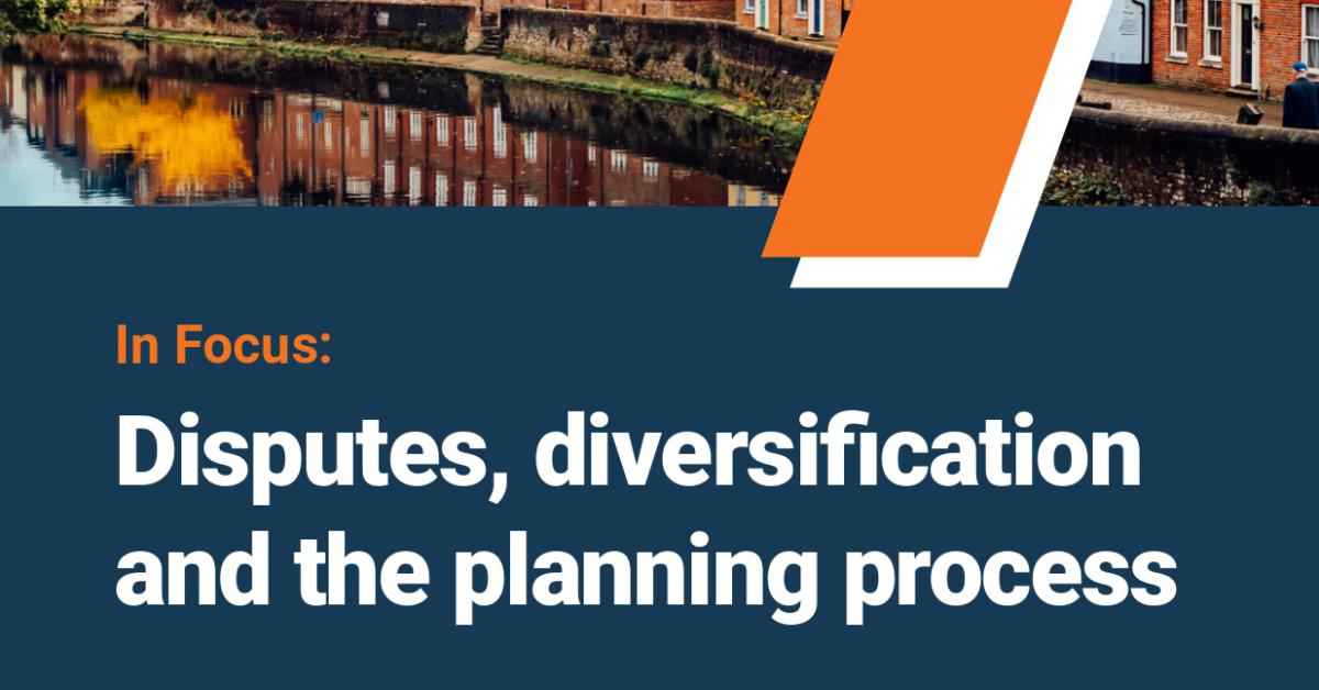 In Focus (2024 Qtr 4): Disputes, diversification and the planning process