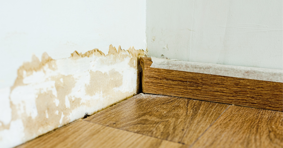 Government publishes damp and mould guidance, and promises simpler HHSRS system