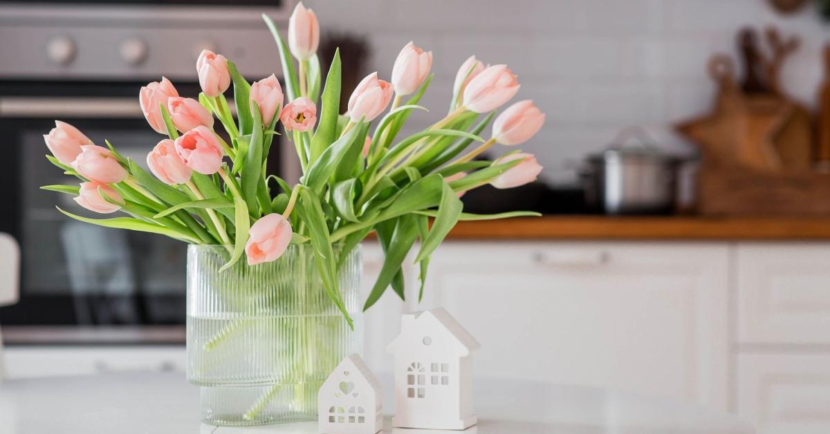 Preventative Rather Than Reactive, Spring Tips for Landlords