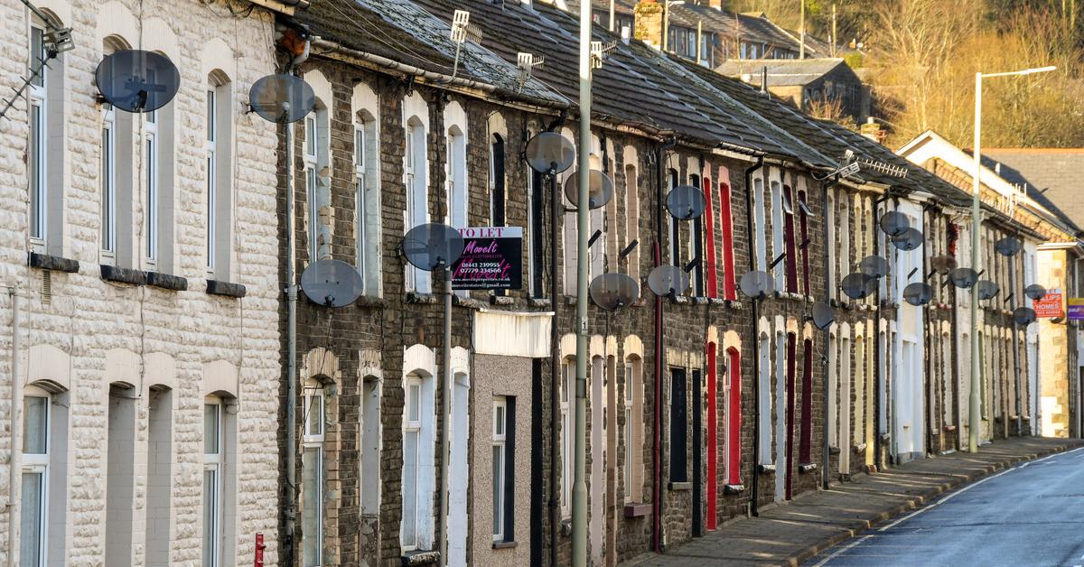 Rental reform undermined by lack of choice for tenants