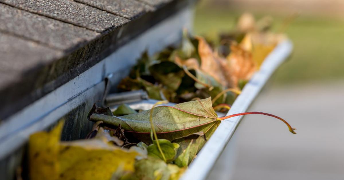 Call of the Week: Cleaning gutters