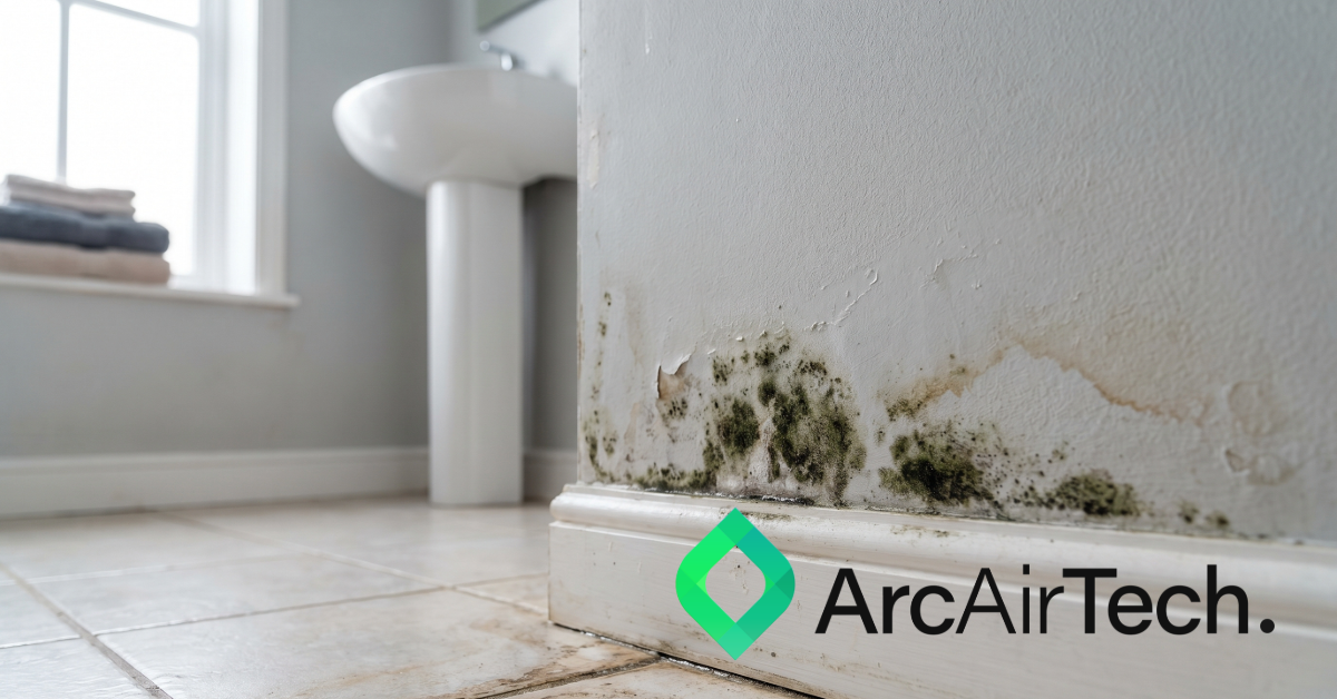 HHSRS 2026: Five things landlords should be checking in their properties