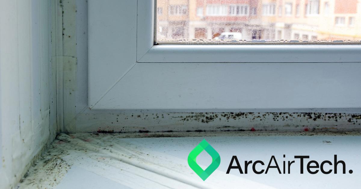 Tackling mould and damp
