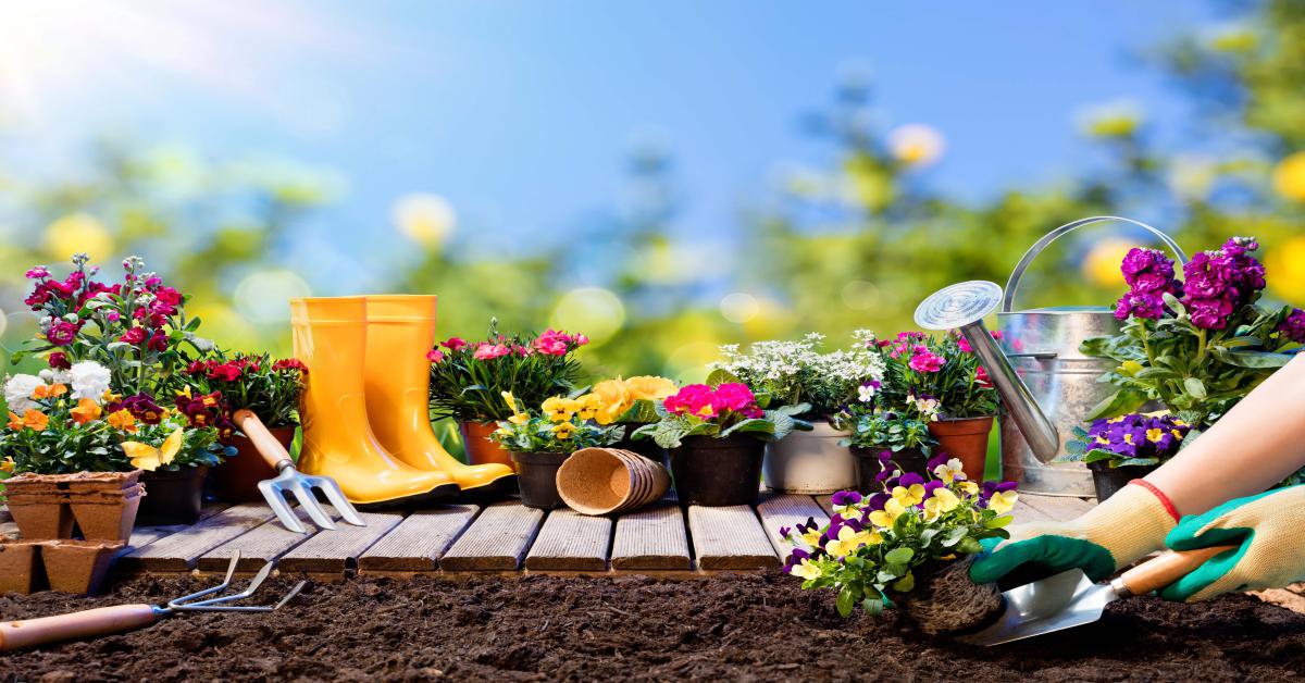 TDS poll highlights confusion surrounding responsibilities of garden maintenance within the PRS