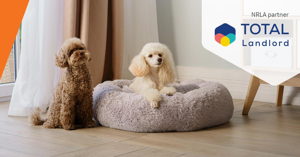 Pet friendly rentals: 9 ways to prepare for the new laws