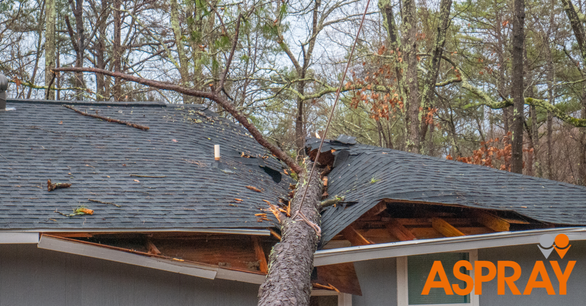 Wear and tear vs insurable damage: A practical guide for landlords